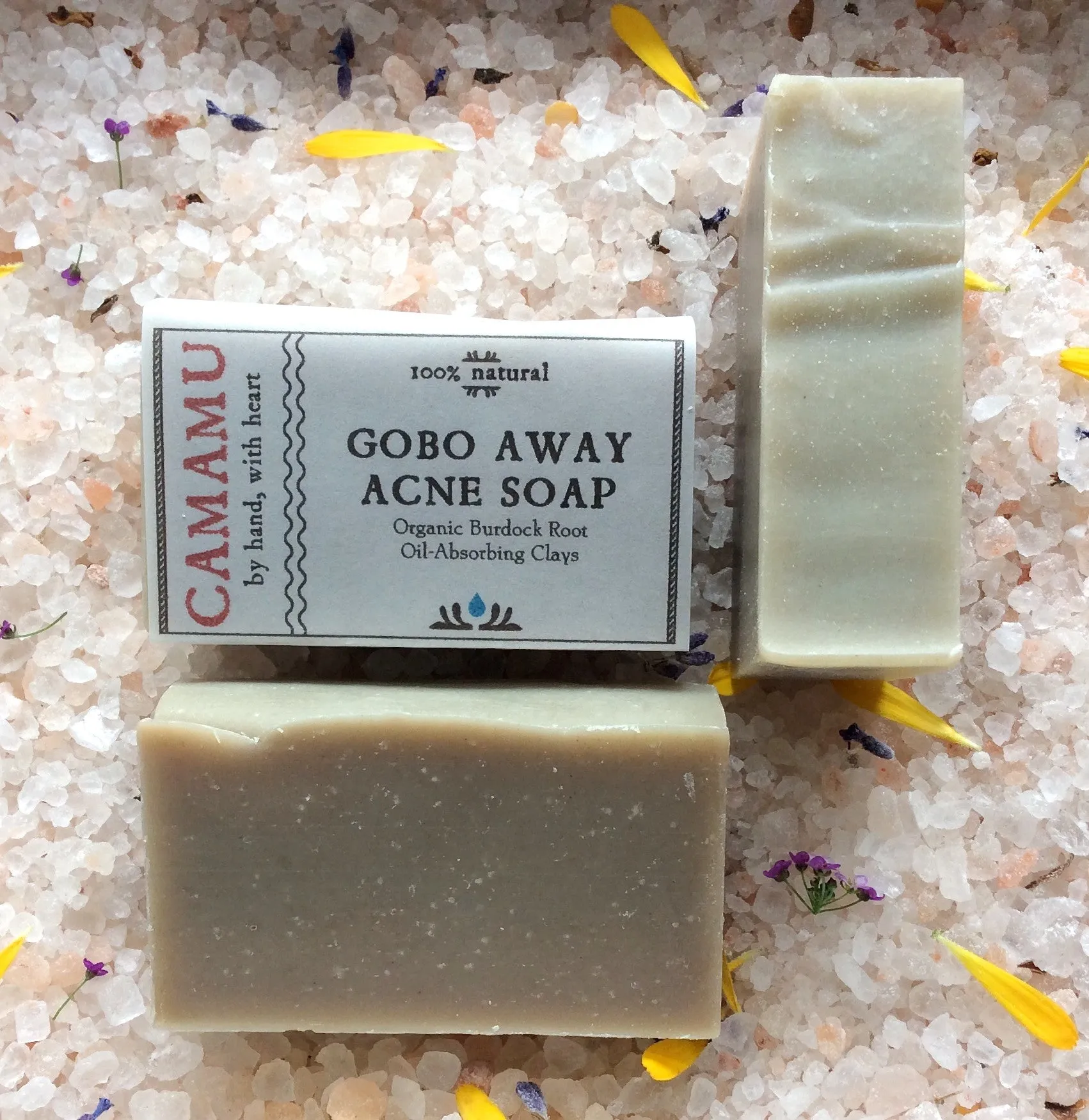 GoBo Acne Away
