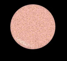 PEEPSHOW 801 LIPGLAZE