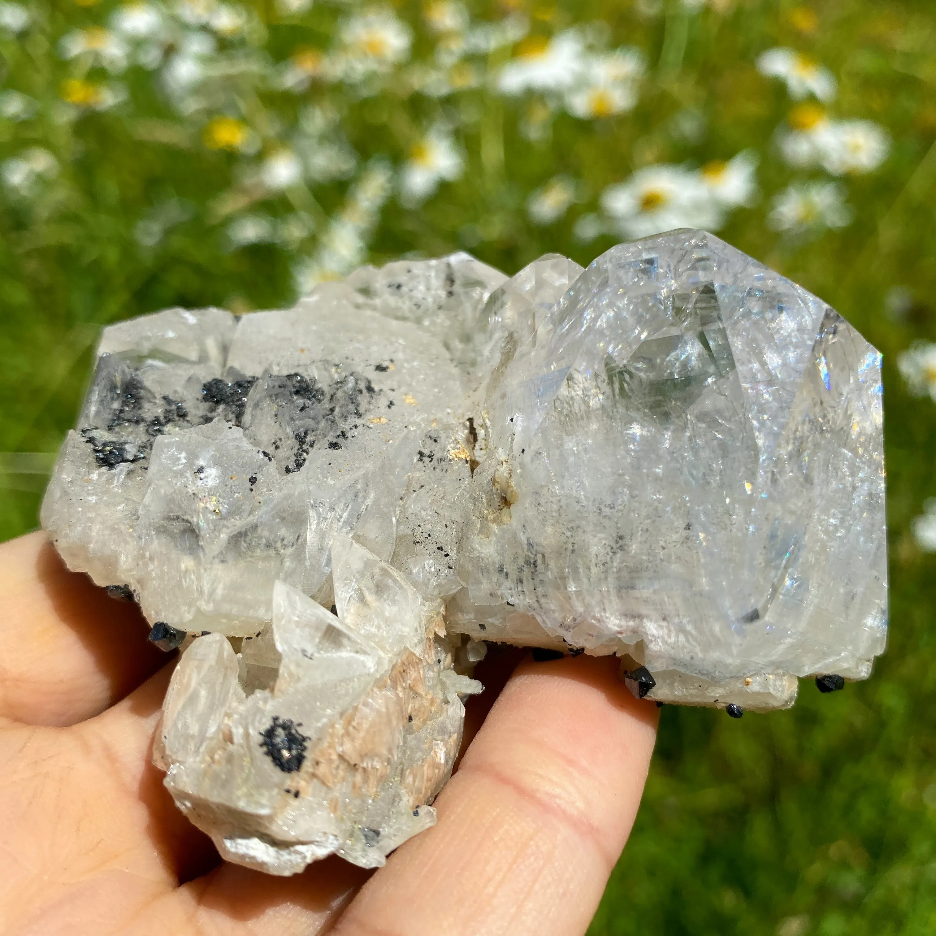 Rare Find ~Old World Collection Natural Calcite & Black Ilvaite Crystals from Dalnegorsk, Russia