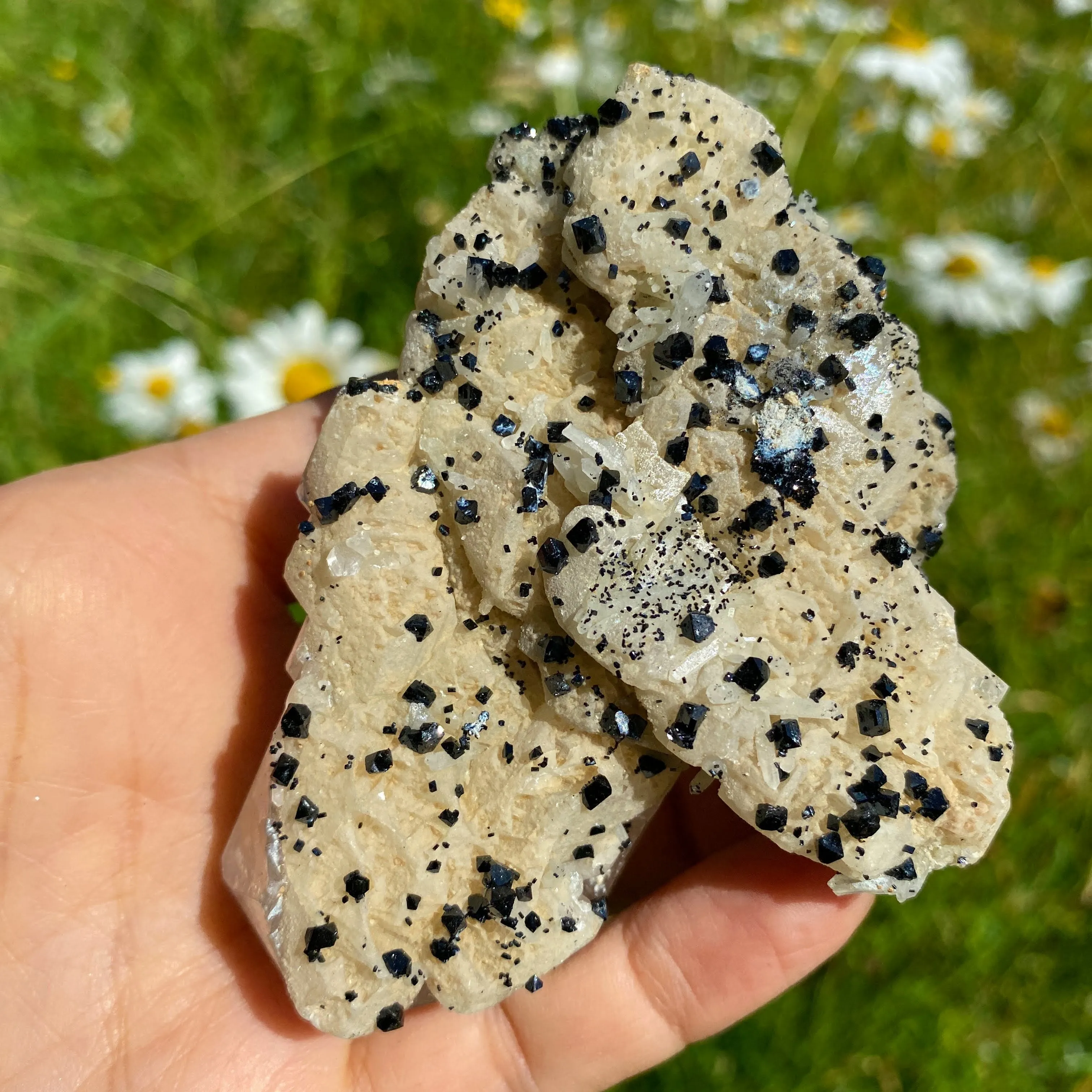 Rare Find ~Old World Collection Natural Calcite & Black Ilvaite Crystals from Dalnegorsk, Russia