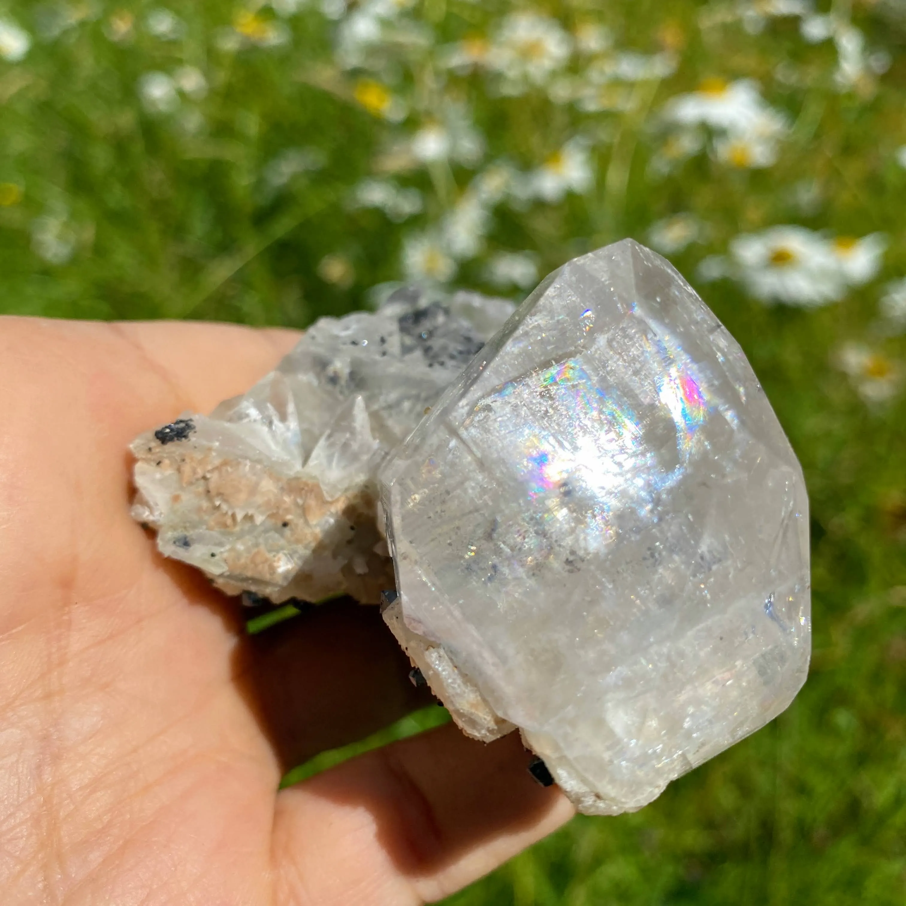 Rare Find ~Old World Collection Natural Calcite & Black Ilvaite Crystals from Dalnegorsk, Russia