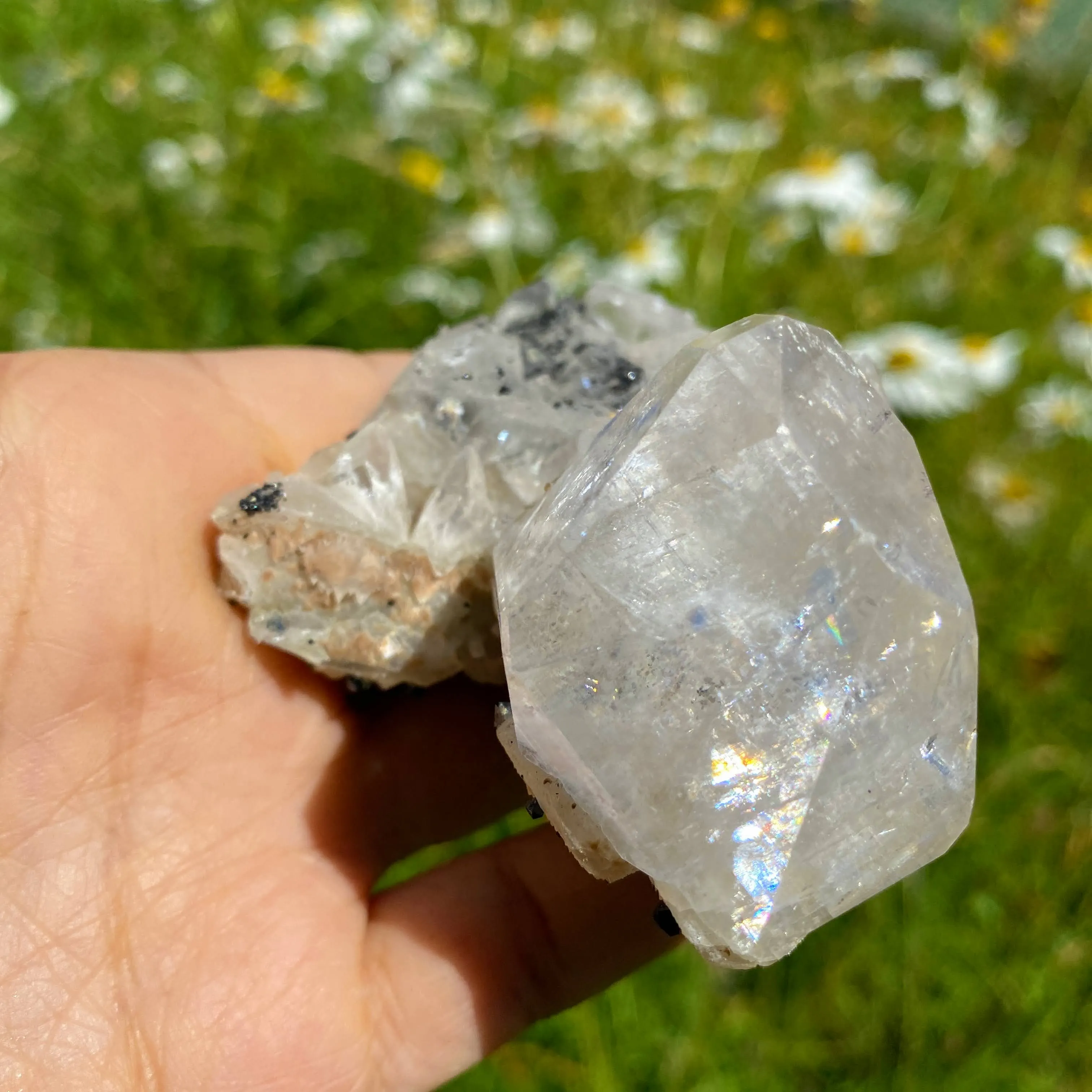 Rare Find ~Old World Collection Natural Calcite & Black Ilvaite Crystals from Dalnegorsk, Russia
